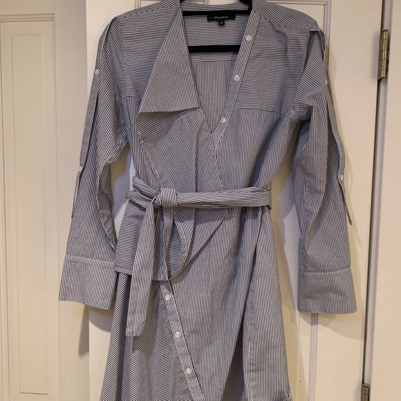 Life with bird pinstriped shirt dress - Picture 1 of 5